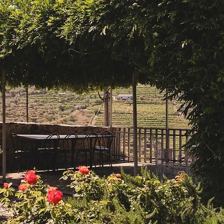 Casal De - Douro Valley * Tralhariz