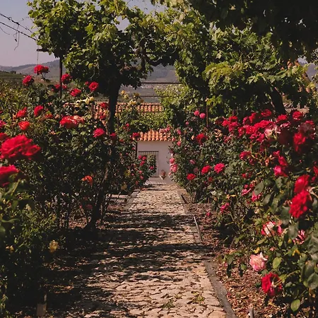 Casal De - Douro Valley Gæstehus