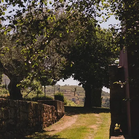 Casal De - Douro Valley 게스트하우스 *