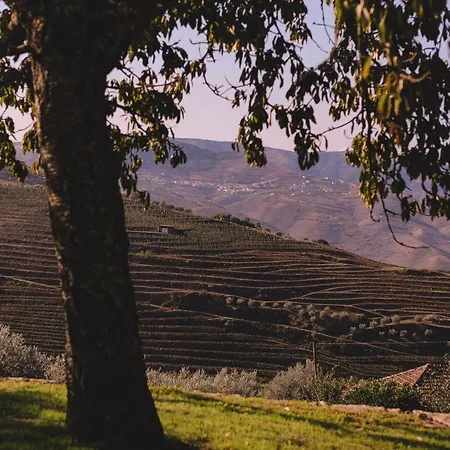 Gasthof Casal De - Douro Valley Tralhariz