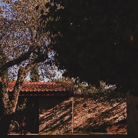 게스트하우스 Casal De - Douro Valley *