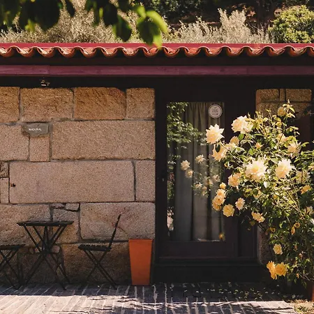 Casal De - Douro Valley * 트랄하리즈
