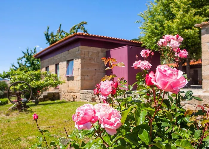 Penzion Casal De - Douro Valley Tralhariz