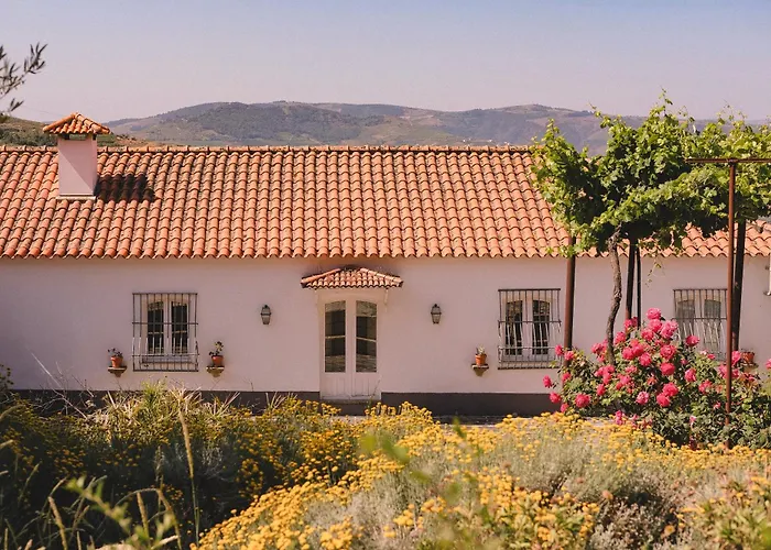 Casal De - Douro Valley *