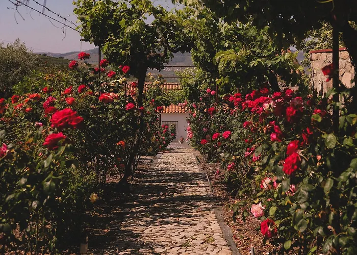 Casal De - Douro Valley Penzion