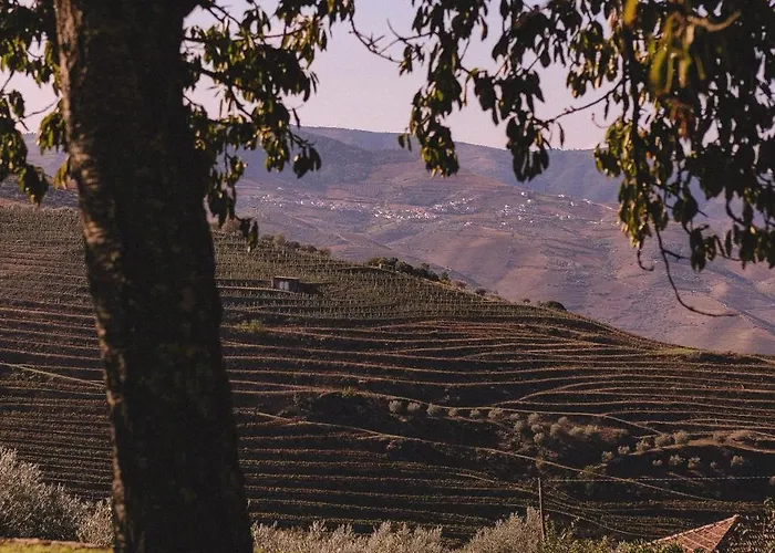 Pensjonat Casal De - Douro Valley Tralhariz